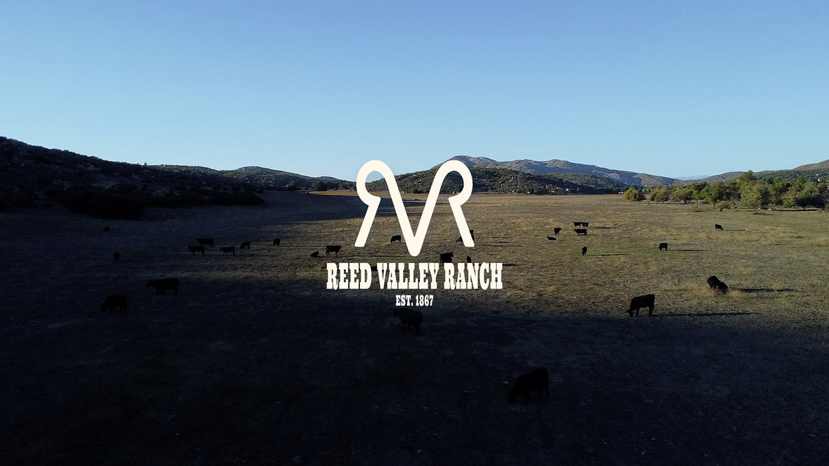 Reed Valley Ranch